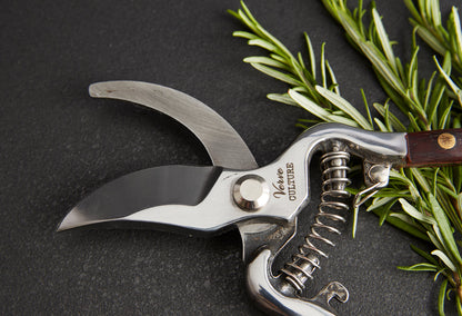 Thai Kitchen and Garden Shears